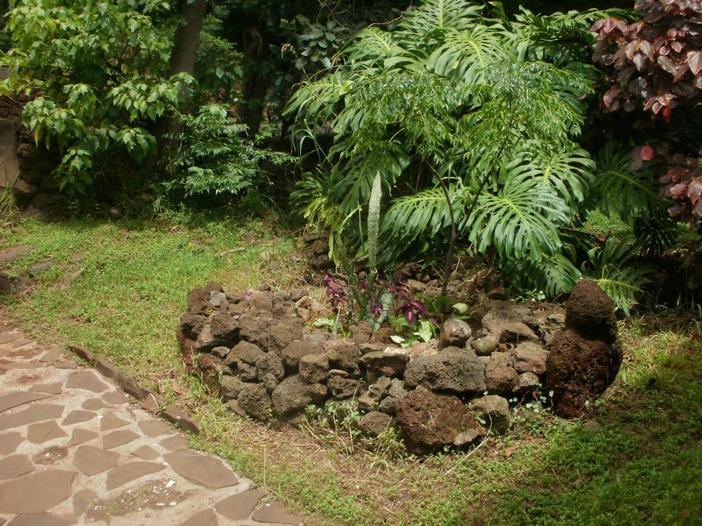 Cabanas Moenga Hanga Roa Buitenkant foto