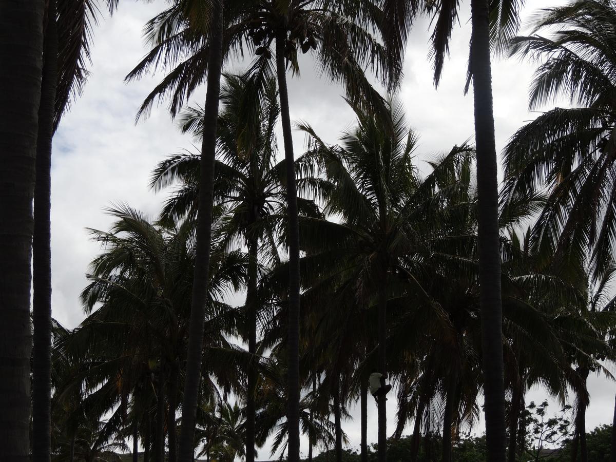 Cabanas Moenga Hanga Roa Buitenkant foto