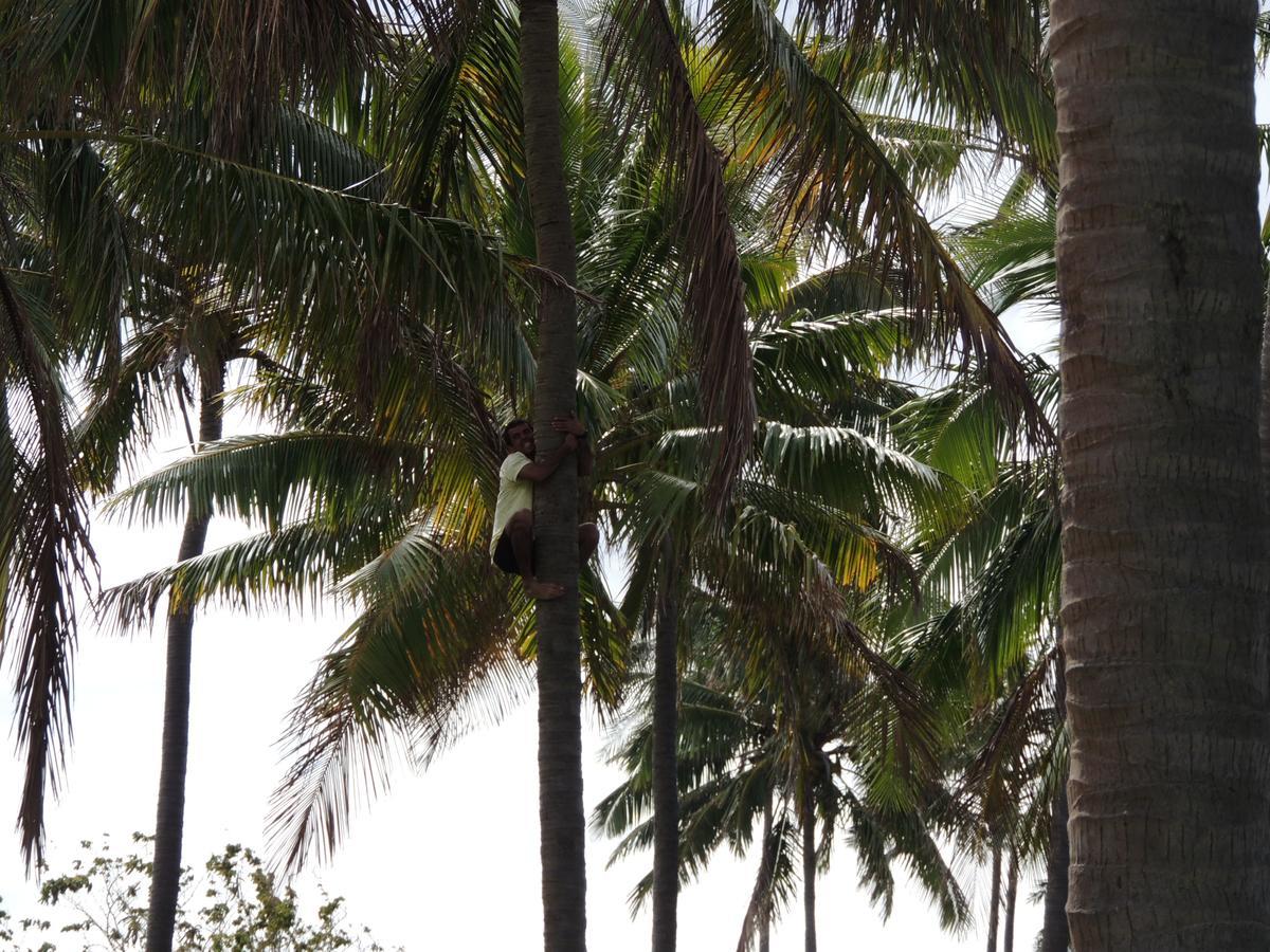 Cabanas Moenga Hanga Roa Buitenkant foto