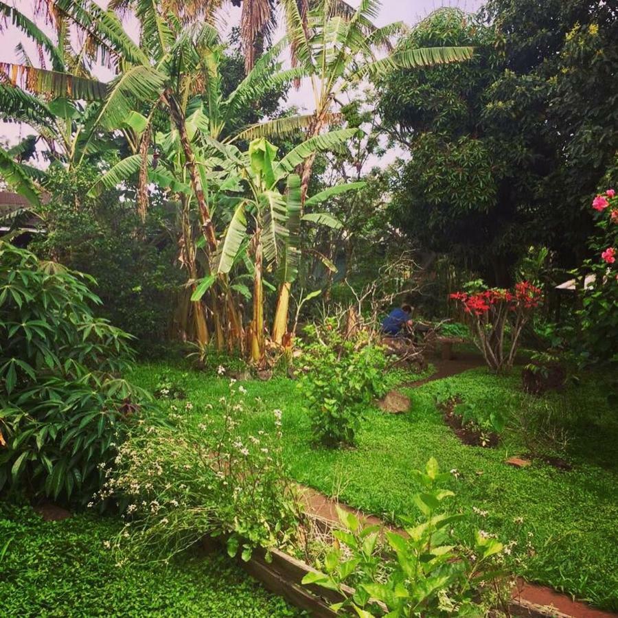 Cabanas Moenga Hanga Roa Buitenkant foto